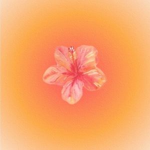 Meet your Posher, Nevaeh